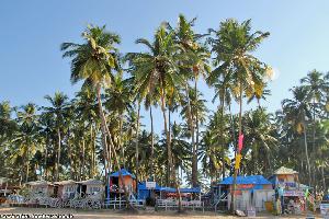 Palolem Beach: Goas Vorzeigestrand