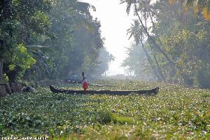 Unterwegs in den Backwaters in Kerala