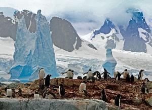 Mit der MS Delphin nach Falkland und in die Antarktis 2013