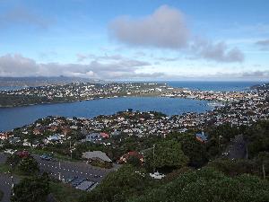 Wellington - zu Fuß zum Mount Victoria