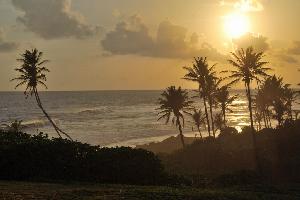 Zum Entspannen und Abnehmen nach Sri Lanka