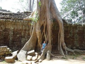 Kambodscha - Amok, Angkor und Angkar