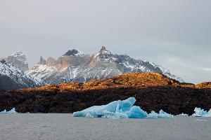 Tagesausflug von Punta Arenas in den Torres del Paine Nationalpark