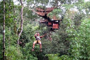 Gibbon Experience in Laos: Nervenkitzel und imposante Aussicht