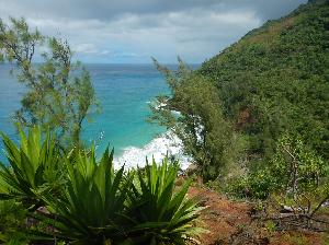 Kalalau Trail - auf Ziegenjagd entlang der Na Pali Coast