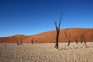 3-wöchige Reise durch Namibia