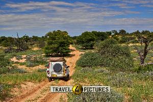 er Kgalagadi Transfrontier Nationalpark  Ein 4x4 Selbstfahrerabenteuer in 3 Teilen