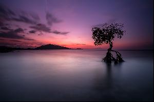 Bali Rundreise