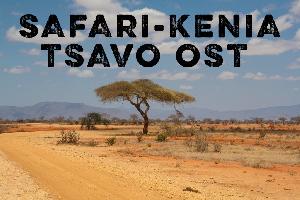 Safari Kenia - Unterwegs in TSAVO-OST