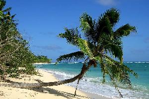 Reisebericht Tonga
