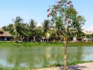 Gaumenfreuden in Vietnam – auf „Street food tour“ in Hoi An