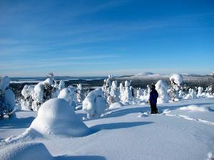 5 Dinge, die Du über Lappland im Winter wissen musst
