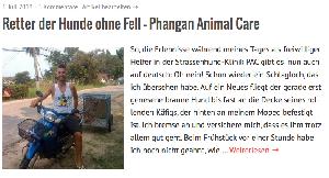 Retter der Hunde ohne Fell – Phangan Animal Care