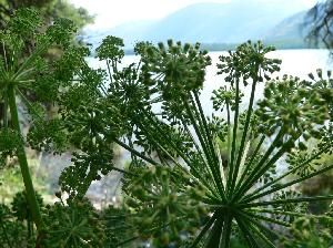 Mit dem chinesischen Touristenbus zum Kanassee