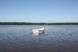 Flamingos und Meer: Zwei Tage im mexikanischen Fischerdorf Celestun