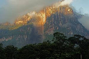 Venezuela  -  Anden, Llanos, Urwald, Tafelberge und am Fuße des Salto Angel