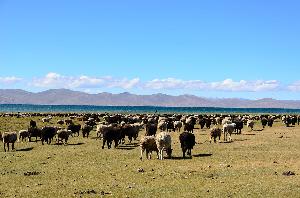 Kirgistan: Am Song Kul See
