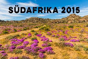 Südafrika Roadtrip - Auf der Suche nach den Wildblumen