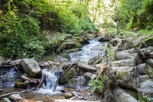 Heiligengeistklamm in der Südsteiermark: Wandern an einem der schönsten Plätze Österreichs