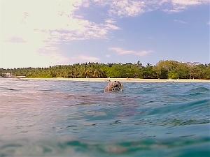 Pandan Island - Ein Paradies zum Schorcheln