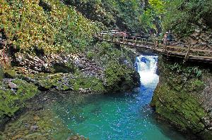 Wandern in der Vintgar-Schlucht in Slowenien