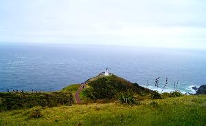 Zum Cape Reinga über den 90 Miles Beach – Entdecke den nördlichsten Teil Neuseelands