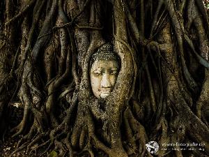 Ein Tag in Ayutthaya