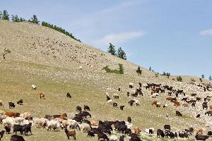 Mongolei: Zu Gast beim Schamanen am Lake Huvsgol