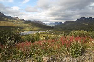 Alaska & Yukon - Jahreszeitenwechsel in einem weiten Land