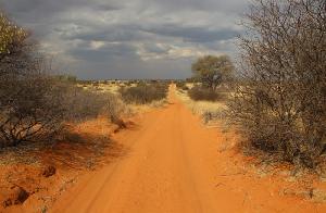 Botswana - Jeden Tag eine neue, sandige Herausforderung!