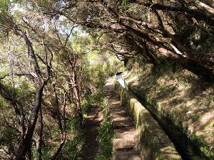 Madeira - Levada-Trekking und Tunnel-Crossing!