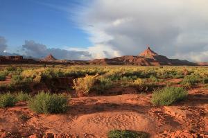 USA: Ein Urlaub vollgepackt mit Highlights!