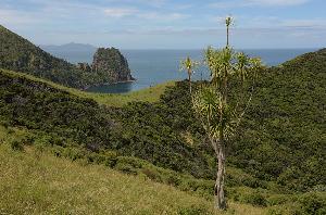 Tipps zum Wandern in Neuseeland