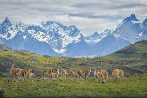TORRES DEL PAINE TREKKING DURCH PATAGONIENS BILDERBUCHLANDSCHAFTEN