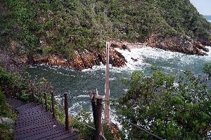 Ich Jane, du Tarzan! Abenteuer im Tsitsikamma Nationalpark