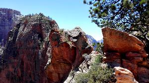Wandern extrem: Der Angels Landing Trail im Zion National Park