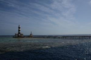 Tauchen am Daedalus Reef, der Heimat der Hammerhaie
