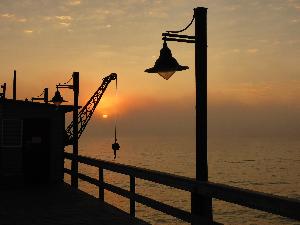 Walvis Bay – Eine Bootstour zu den Ohrenrobben