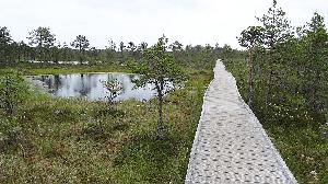 10 Tage Roadtrip durchs Baltikum: Unsere Route