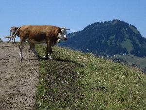 Kurzurlaub im Allgäu