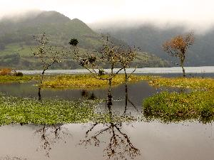São Miguel | Der mystische Kratersee von Sete Cidades