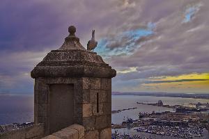 Weihnachten in Alicante