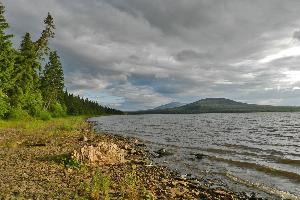 Unterwegs zu Wildpferden, Bären und singenden Hasen