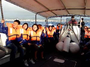 Azoren: Whale Watching – auf den Spuren von Moby Dick