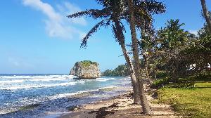 Ein Tag auf Barbados: Die schönsten Strände und Ausblicke