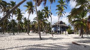 Ein Tag auf der Isla Saona: Paradiesische Dominikanische Republik