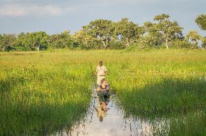 BOTSWANA OKAVANGO DELTA – SAFARI AT ITS BEST MIT &BEYOND
