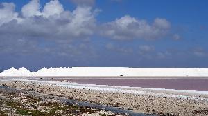 Ein Tag auf Bonaire: Salz, Flamingos und Mangroven