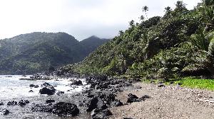 Ein Tag auf St. Vincent: Schwarze Lava, grüne Berge