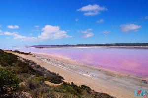 Pink Lake: Auf der Jagd nach rosa Seen in West Australien